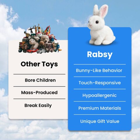 Rabsy image