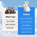 Rabsy image