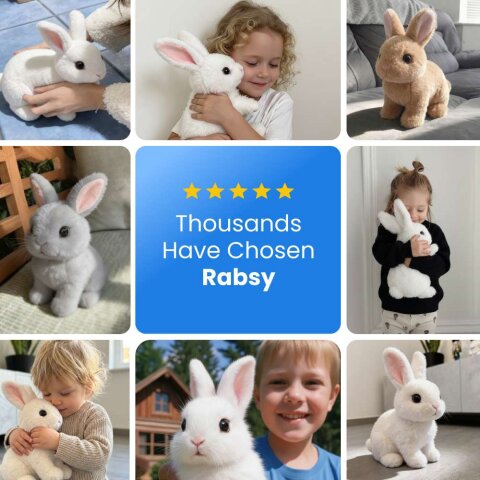 Rabsy image