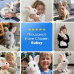 Rabsy image