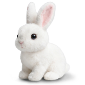 Rabsy image