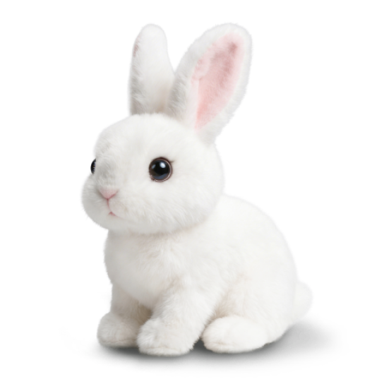 Rabsy image